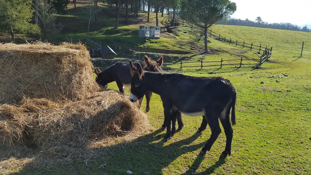 B&B Podere Montese Villafranca in Lunigiana Italië