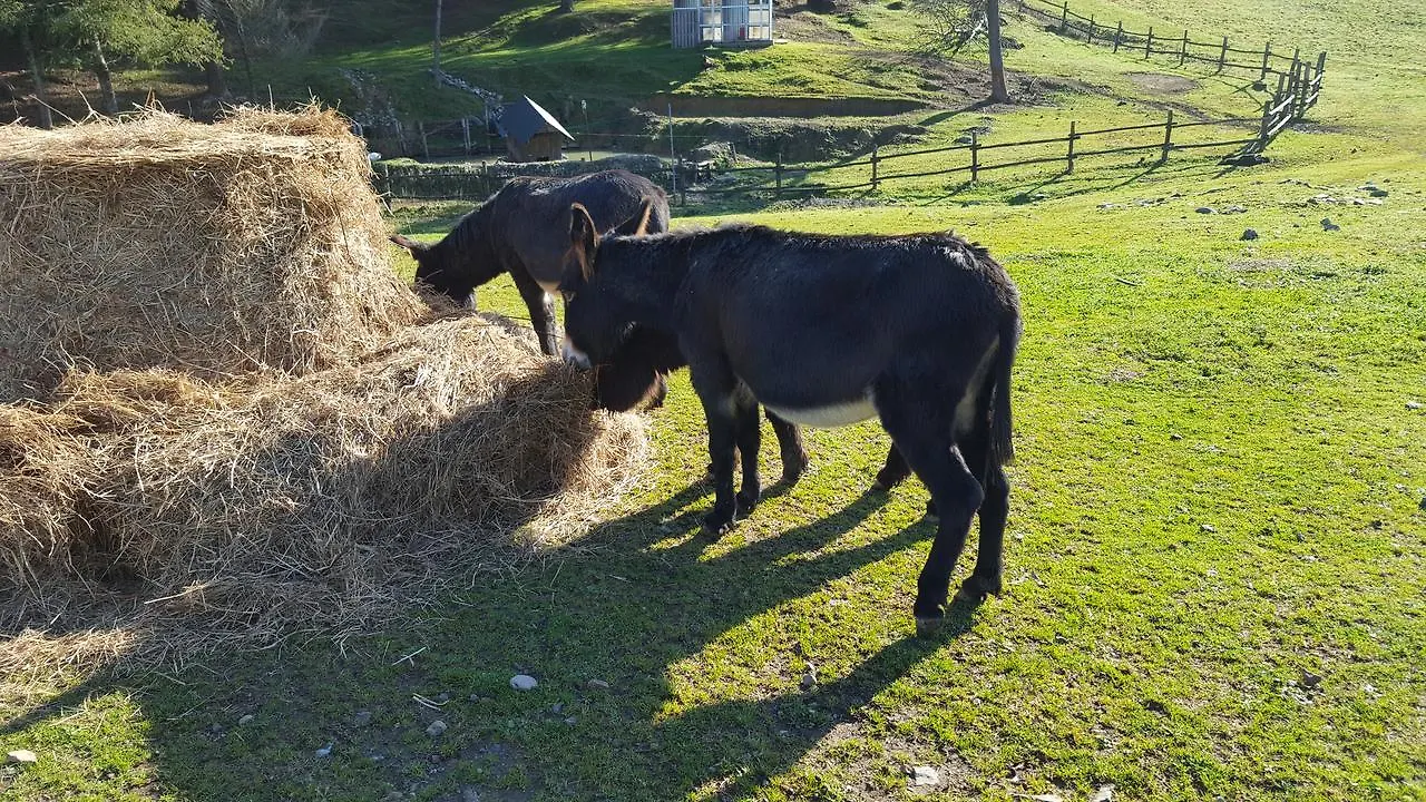 B&B Podere Montese Villafranca in Lunigiana