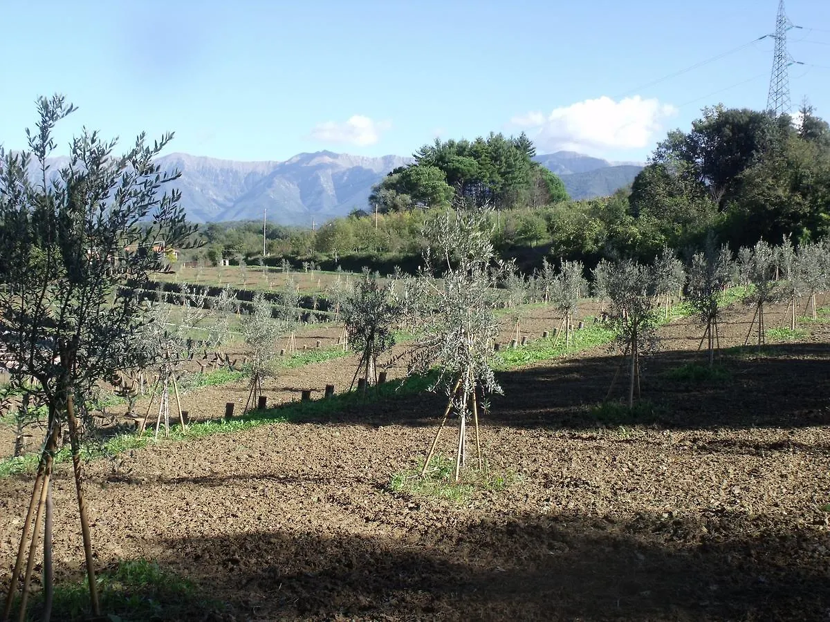 B&B Podere Montese Villafranca in Lunigiana